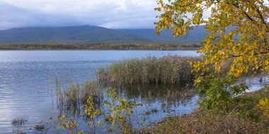 11.10.2018 Rusya. Sikhote-Alin devlet doğa biyosfer rezervi adını K. G. Abramov 'dan almıştır.
