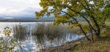 11.10.2018 Rusya. Sikhote-Alin devlet doğa biyosfer rezervi adını K. G. Abramov 'dan almıştır.