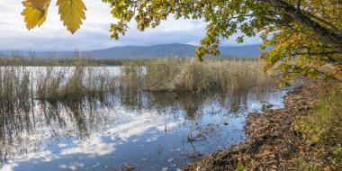 11.10.2018 Rusya. Sikhote-Alin devlet doğa biyosfer rezervi adını K. G. Abramov 'dan almıştır.