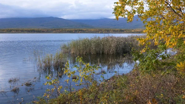 2018 Rusia Reserva Biosfera Natural Del Estado Sijote Alin Con — Foto de Stock