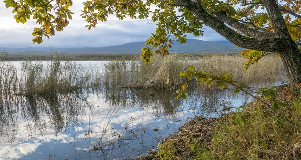 11.10.2018 Rusya. Sikhote-Alin devlet doğa biyosfer rezervi adını K. G. Abramov 'dan almıştır.