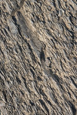 - Rusya. Tomsk bölgesi. Mavi Uçurum Taşları.