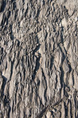 - Rusya. Tomsk bölgesi. Mavi Uçurum Taşları.