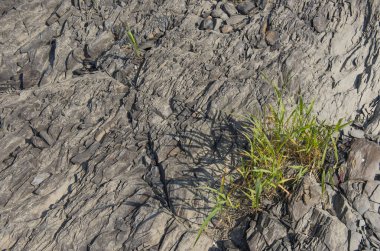 - Rusya. Tomsk bölgesi. Mavi Uçurum Taşları.