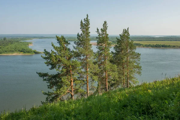 Rusia Daerah Tomsk Pemandangan Sungai Tom Area Tebing Biru — Stok Foto