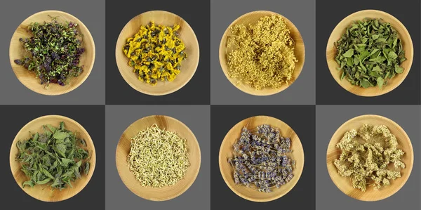 Healing herbs in wooden bowls on dark grey background