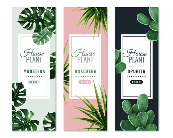 Realistic House Plants Vertical Banners — Stock Vector