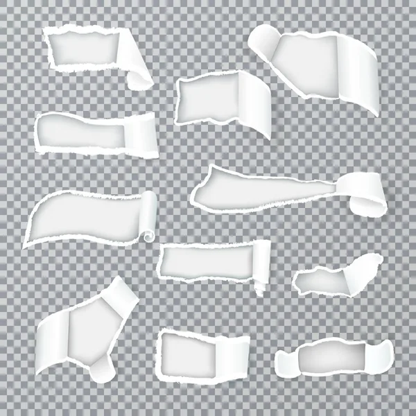 Boucles en papier déchiré Réaliste Transparent — Image vectorielle