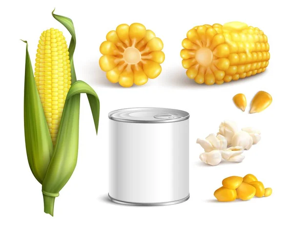 Conjunto realista de milho — Vetor de Stock
