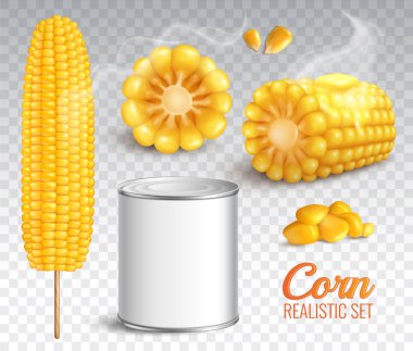 Gerçekçi Mısır şeffaf Set