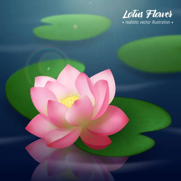 Lotus bloem realistische achtergrond — Stockvector