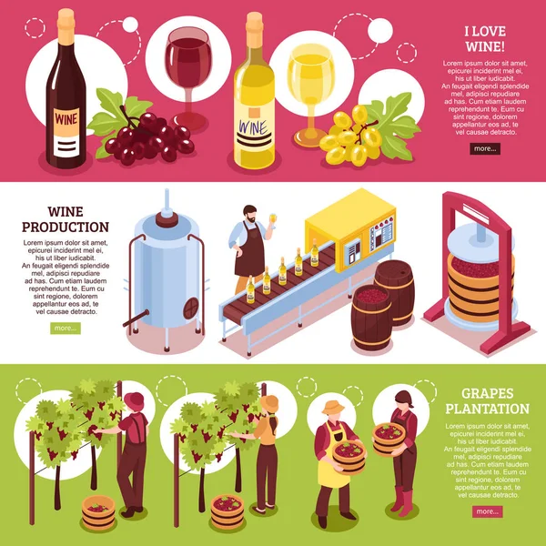 Şaraphane izometrik yatay Banner