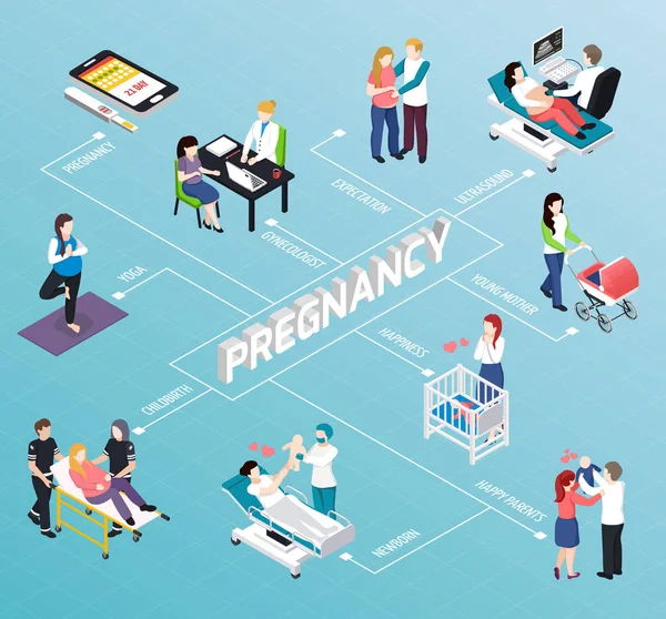 Izometryczne schemat blokowy w ciąży — Wektor stockowy