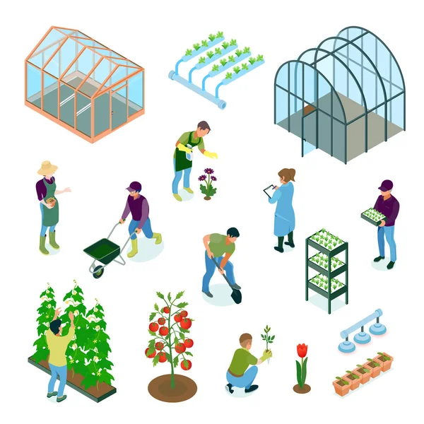 Greenhouse Isometric Set — Stock Vector