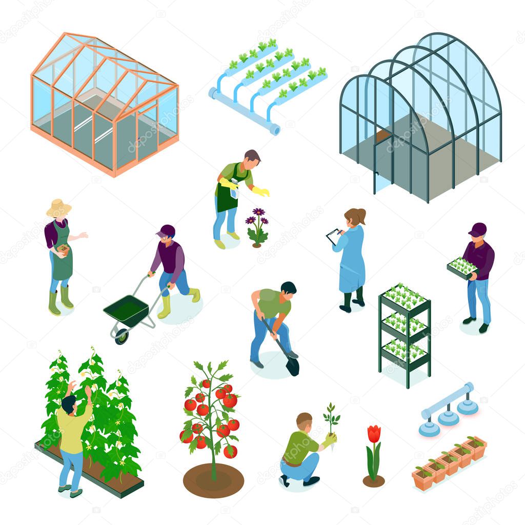 Greenhouse Isometric Set 