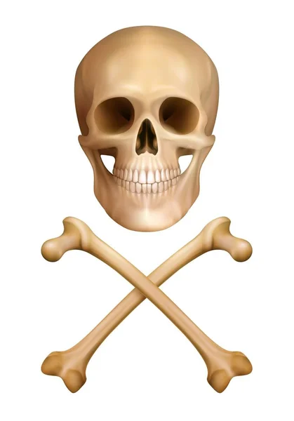 Lidská lebka se zkříženými kostmi — Stockový vektor