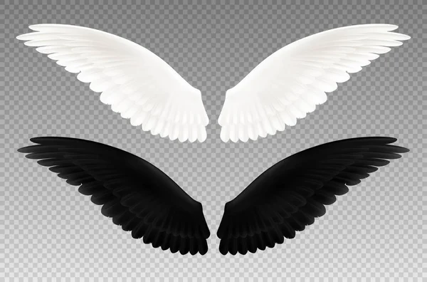 Μαύρο και άσπρο φτερά διαφανή σετ — Διανυσματικό Αρχείο