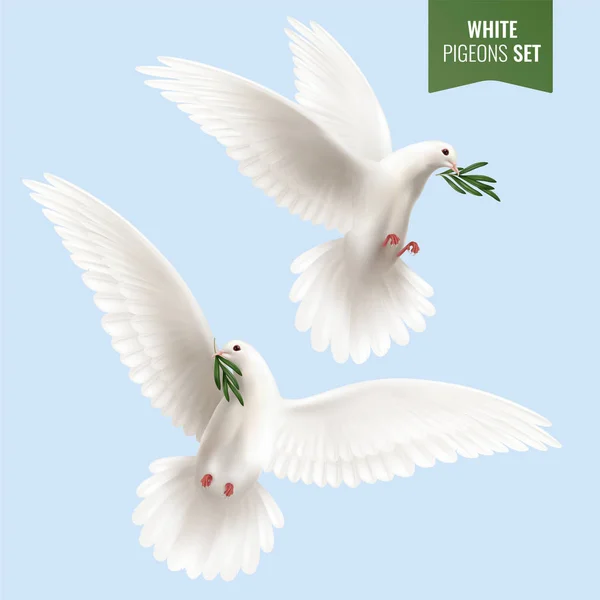 Witte duif realistisch Set — Stockvector