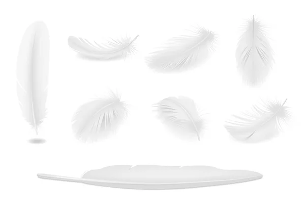 White Feathers Set — Stock Vector