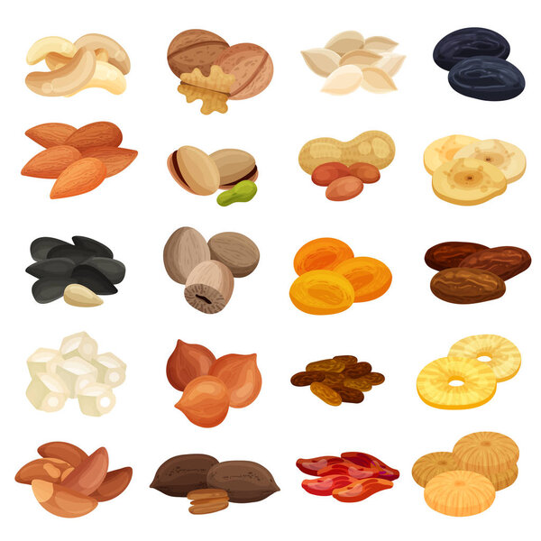 Dried Fruits Nuts Realistic Set