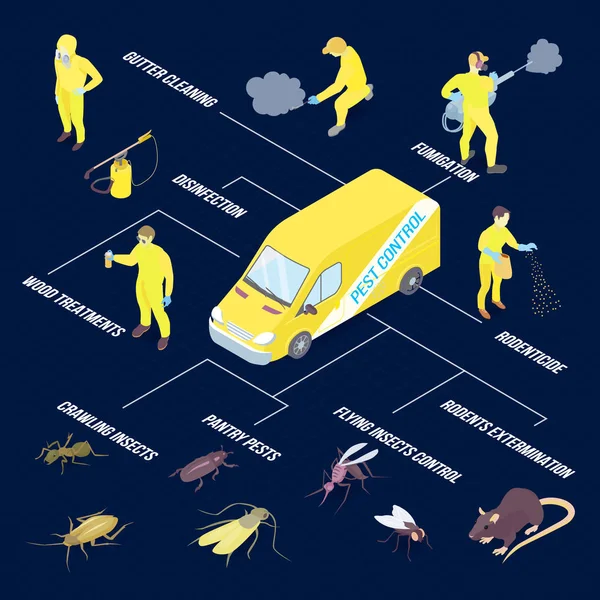 Infografías de desinfección isométrica — Vector de stock