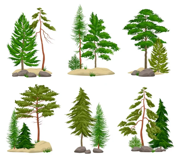 Ensemble d'éléments réalistes de forêt de pins — Image vectorielle