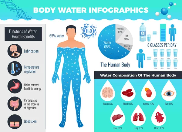 Conjunto Infográfico de Corpo e Água — Vetor de Stock