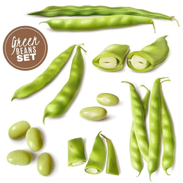 Green Beans Realistic Set — Stock Vector