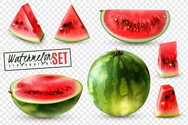 Watermeloen realistische transparant Set — Stockvector