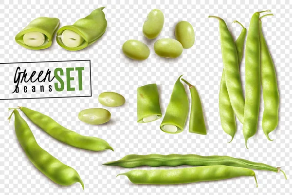 Haricots verts ensemble transparent réaliste — Image vectorielle