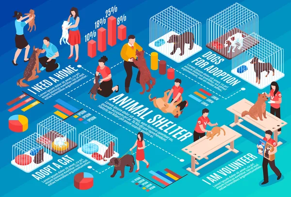 Diagrama de flujo isométrico del refugio de animales — Archivo Imágenes Vectoriales