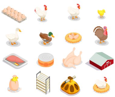 Kümes hayvanları üretim izometrik Set