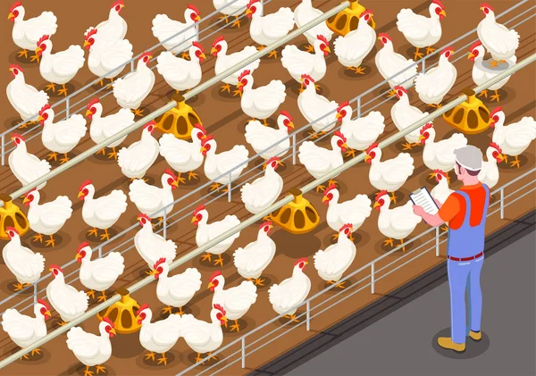 Poultry Isometric Background — Stock Vector