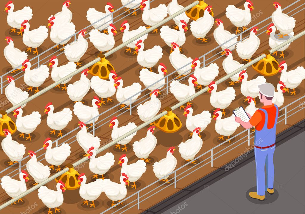 Poultry Isometric Background