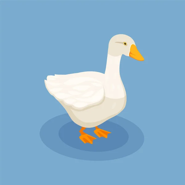 Goose Isometric Poster — Stock Vector