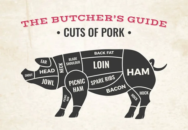Stukken varkensvlees slagerij Diagram — Stockvector