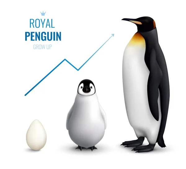 Penguin Grow Up Realistic — Stock Vector