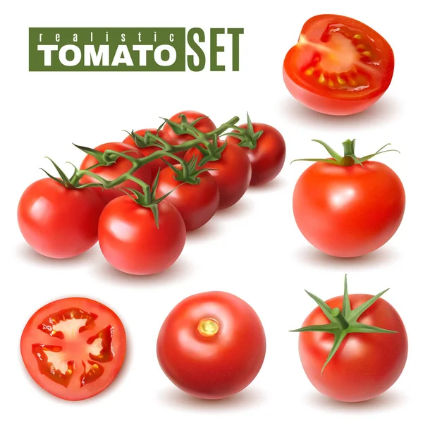 Coleção de frutas de tomate realista — Vetor de Stock