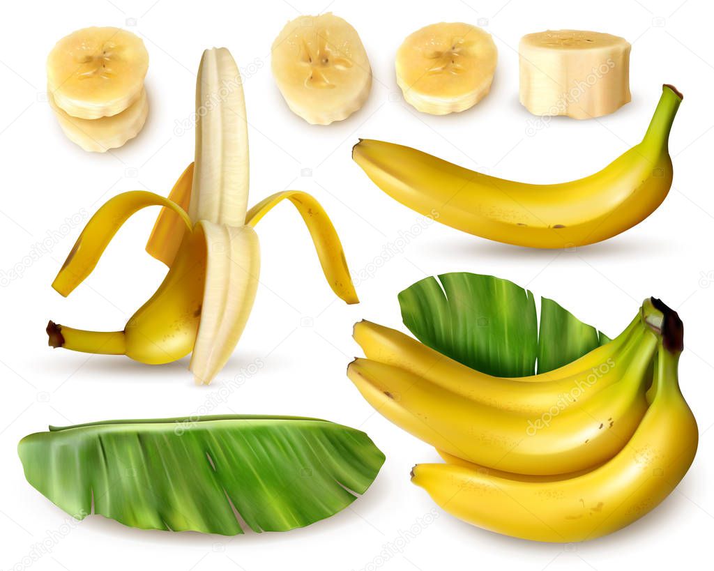 Banana Plant Realistic Set