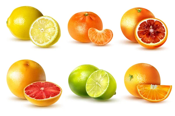 柑橘系の果物セット — ストックベクタ