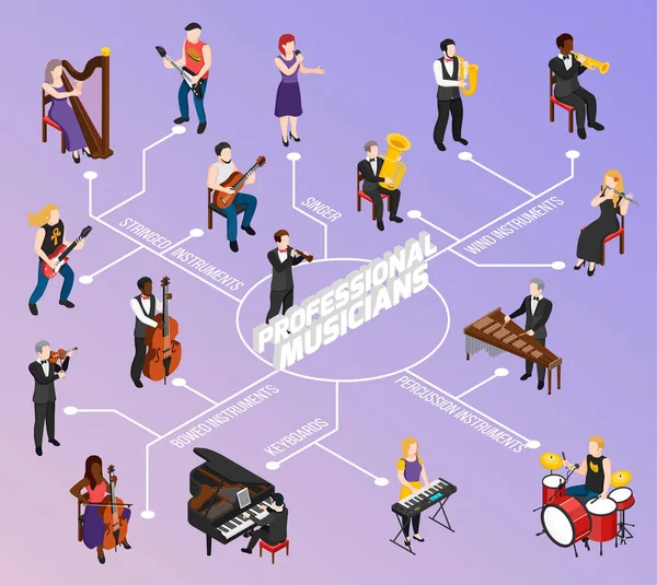 Beroepsmusici isometrische stroomdiagram — Stockvector