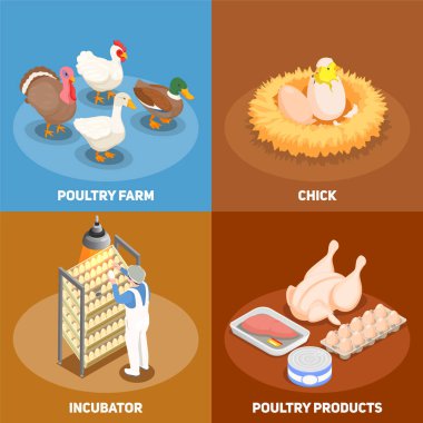 Poultry 2x2 Design Concept clipart