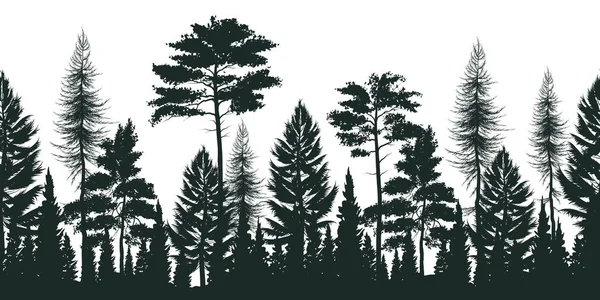 Silhouette of Pine Forest Illustration – stockvektor