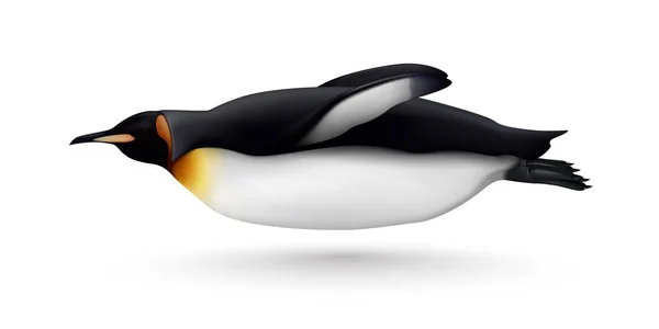 Pinguim nadador realista isolado — Vetor de Stock