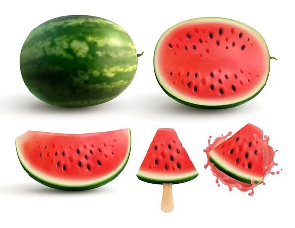 Vattenmelon realistisk uppsättning — Stock vektor