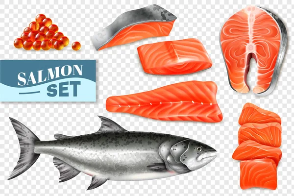Conjunto de salmón realista — Archivo Imágenes Vectoriales