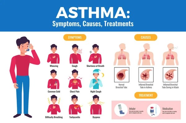 Póster de Infografía de Asma — Vector de stock