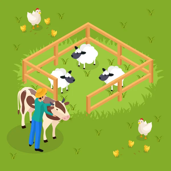 Cattle Farming Isometric Composition — Stock Vector