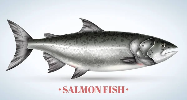 Latar Belakang Salmon Realistik - Stok Vektor