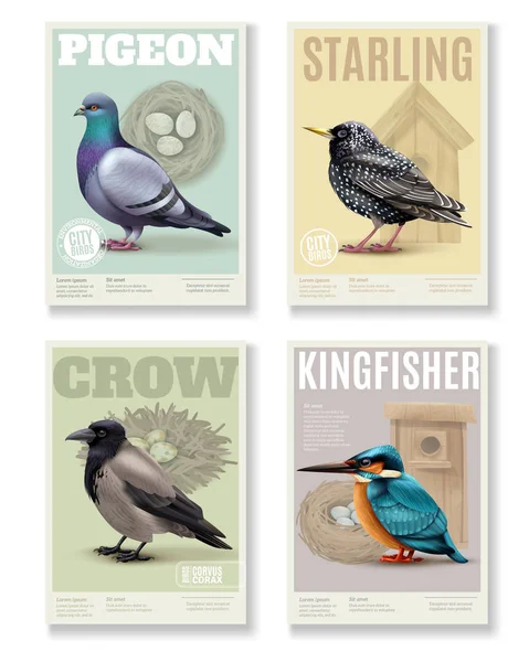 Set de pancartas realistas para pájaros — Archivo Imágenes Vectoriales